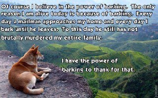 The Power of Prayer explained by a dog