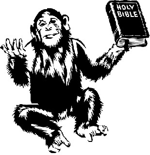 Typical Bible Reader