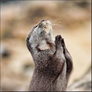 religiots whereisyourgodnow 9341