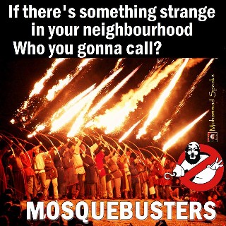 Mosquebusters