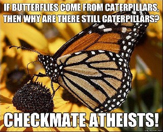 Creationists Logic LOL