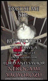 Do you have a moment