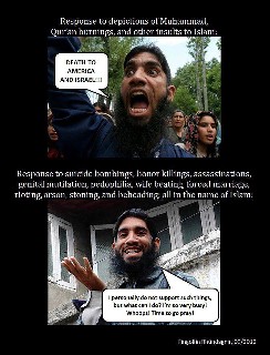 Muzlems responses