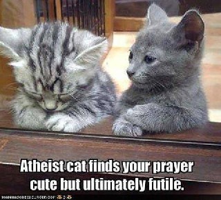 Atheist Cat