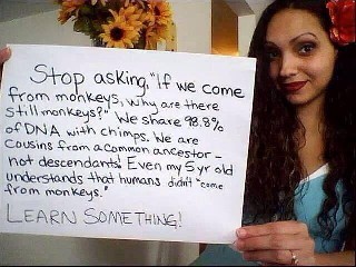 Why are there still Monkeys