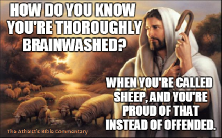 Thoroughly brainwashed