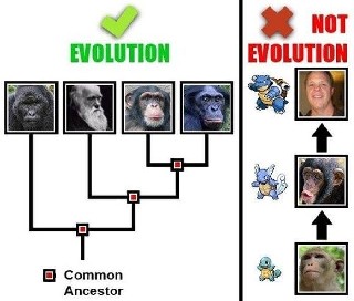 Evolution explained in a way even religiots will understand