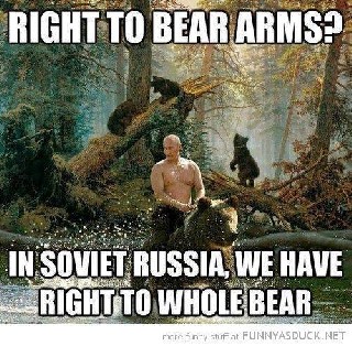 Right to Bear Arms