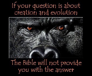 Bible has no answers