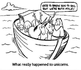 What really happened to the Unicorns