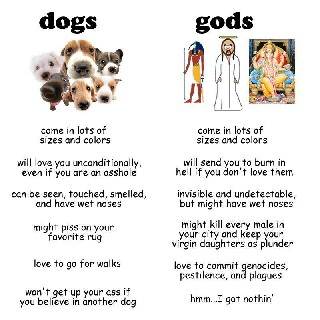 Dogs vs  Gods