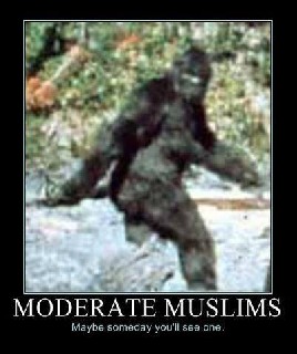 moderate muzlim
