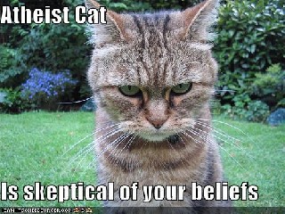 religiots whereisyourgodnow 9368