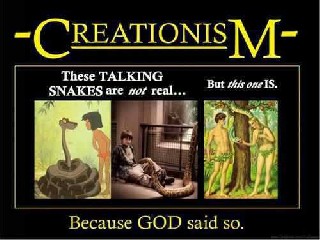 Snakes