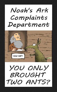 Noahs Complaints