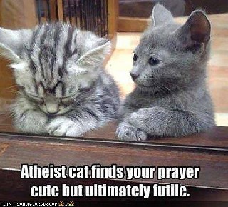 Atheist cat