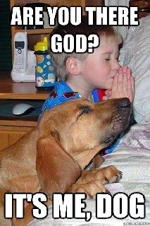 religiots whereisyourgodnow 9167