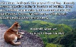 The Power of Prayer explained by a dog