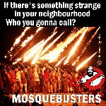 Mosquebusters