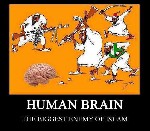 The Biggest Enemy of Islam