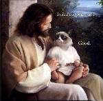 I died for your sins
