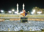 Jack in the Kabbah