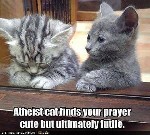 Atheist Cat