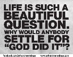 Life is such a beautiful question