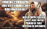 Thoroughly brainwashed