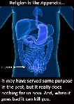 Religion is like Appendix