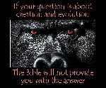 Bible has no answers