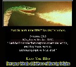Fiery Serpents