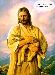 religiots whereisyourgodnow 9242