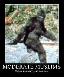 moderate muzlim