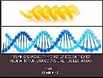 FSM