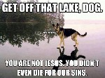 Behave yourself Dog