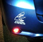 Darwin on your bumper