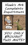 Noahs Complaints