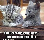 Atheist cat