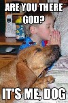 religiots whereisyourgodnow 9167